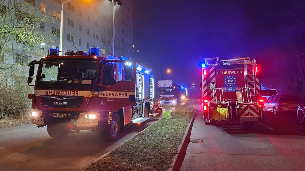 Feuerwehreinsatz Am Bruchsee in Halle-Neustadt.
