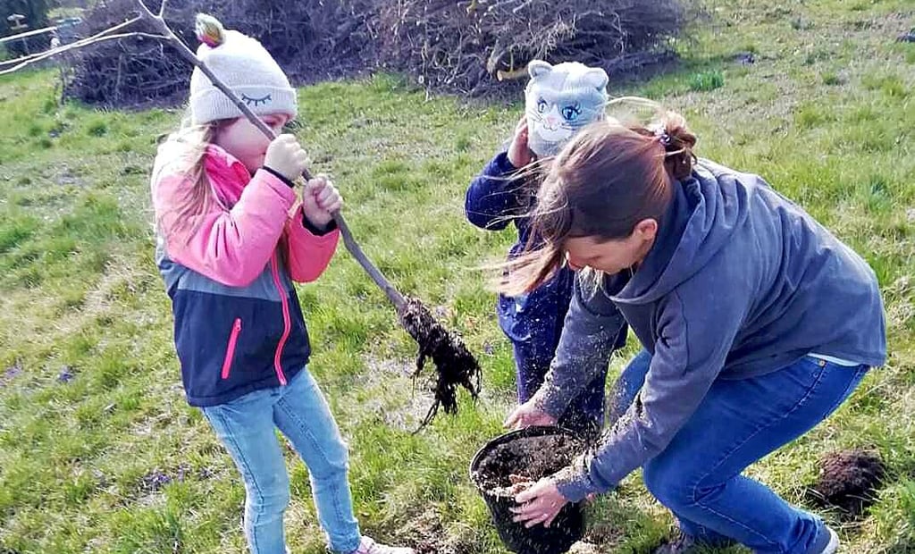 In der Gartensparte „Zur Erholung“ in Oschersleben werden fleißig Obstbäume gepflanzt