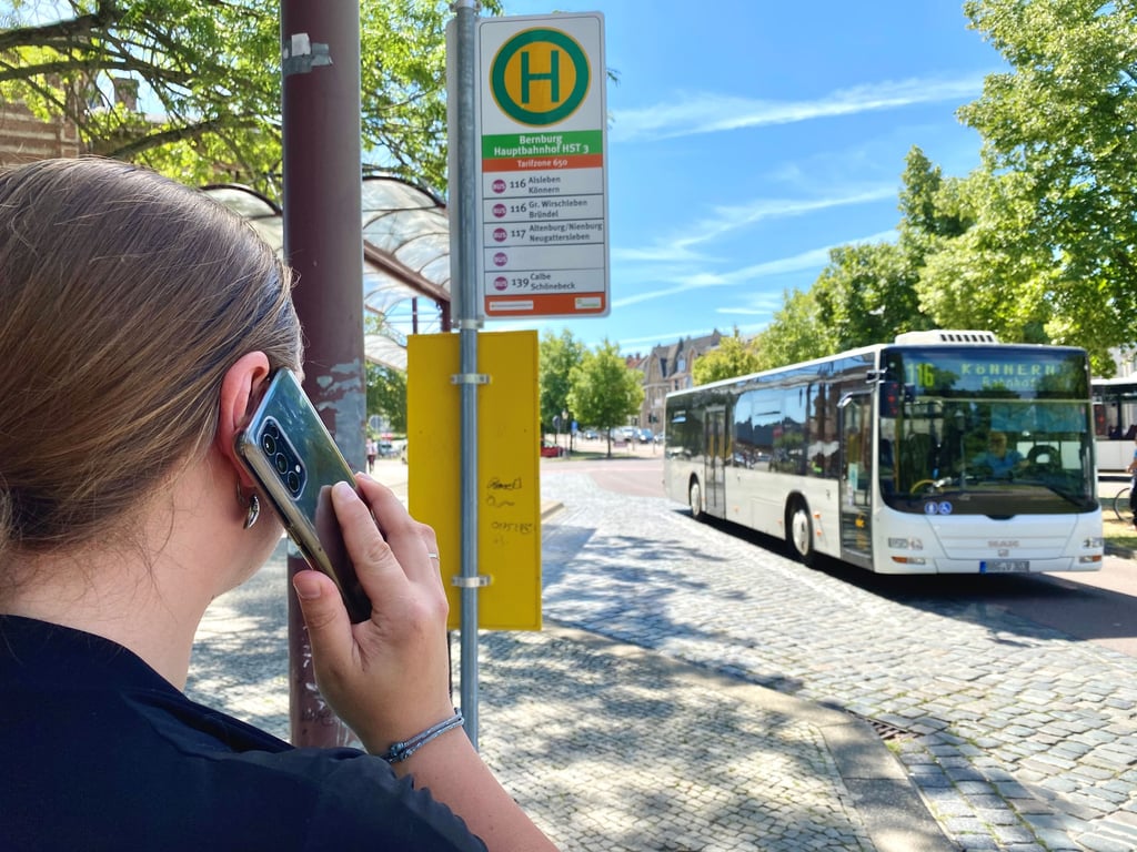 Gemein ist beiden Systemen, dass der Bus nur kommt, wenn der Fahrgast ihn bestellt.