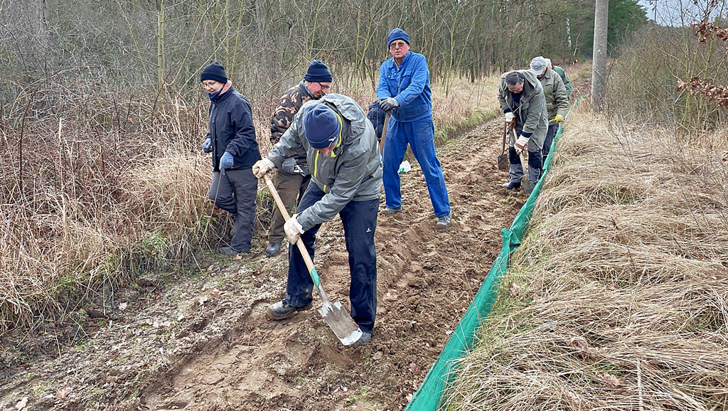 15 Naturfreunde waren am Sonntag entlang der Straße zwischen Jerichow und Klietznick damit beschäftigt, einen 800 Meter langen Krötenschutzzaun aufzubauen. Nach zwei Stunden war die aufwendige Arbeit geschafft.