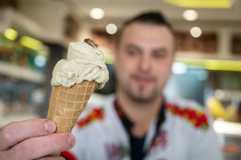 Thomas Micolino, Inhaber des Eiscafé Rino, zeigt ein Eis, das zum Teil aus Grillenmehl besteht und auf dem ein getrocknetes Heimchen sitzt.