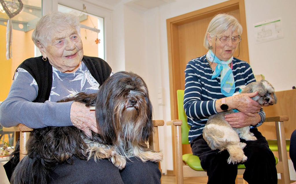 Hunde Elsa und Flitzi in Demenz-WG zu Gast in Gommern