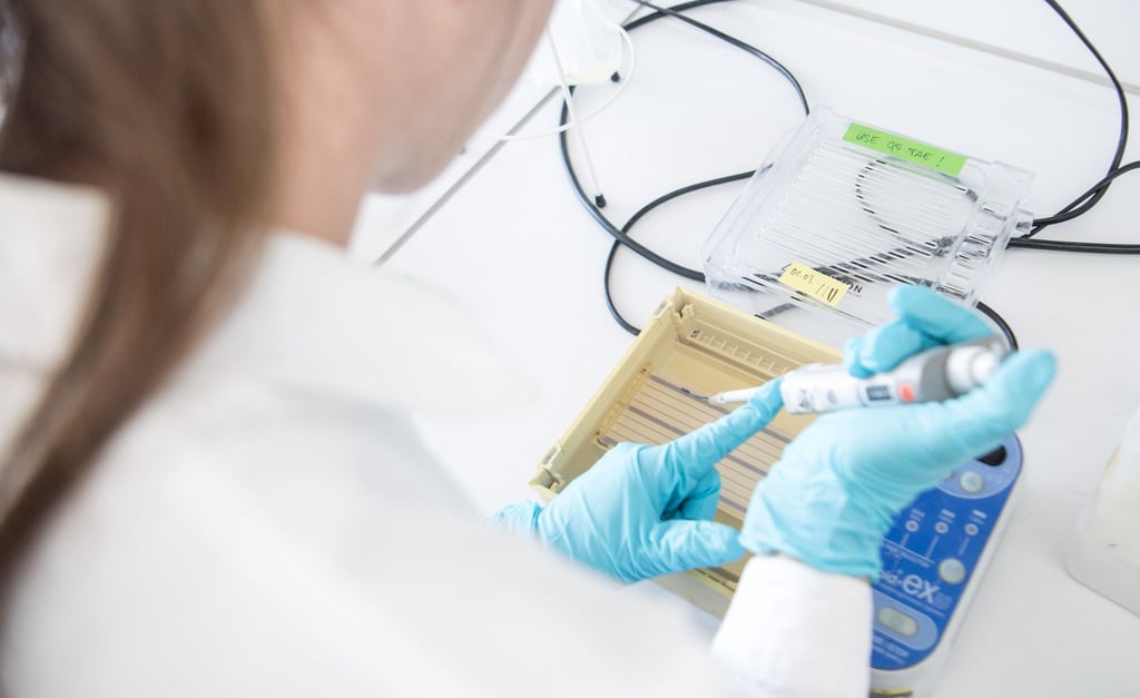 Bei rund fünf bis zehn Prozent der Krebserkrankungen waren erbliche Genmutationen ausschlaggebend.