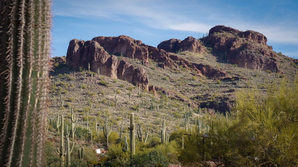 Schroffe Felsformationen und eine Menge Kakteen: Der Peralta Regional Park in Arizona wirbt mit rauer Ursprünglichkeit.