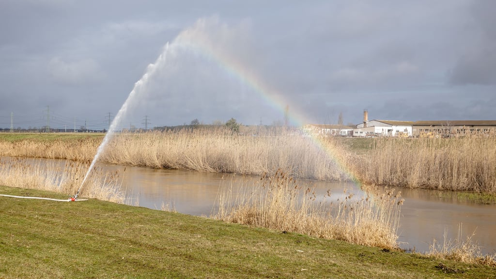 Für ein paar Minuten zeigte sich am Sonntag die Sonne und sorgte für einen Regenbogen.