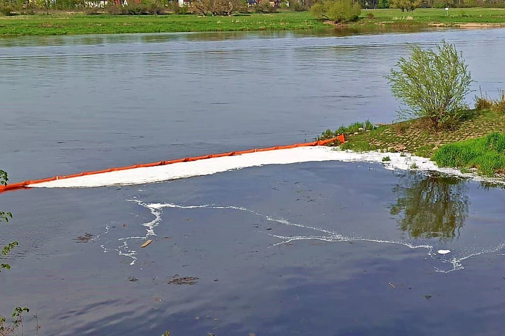 April 2022: In der Elbe bei Schönebeck und im Salinekanal werden Verunreinigungen durch Öl entdeckt. Damit die Elbe nicht weiter verunreinigt wird, werden Ölsperren eingesetzt. Zwei Männer mussten sich deshalb nun vor Gericht verantworten.