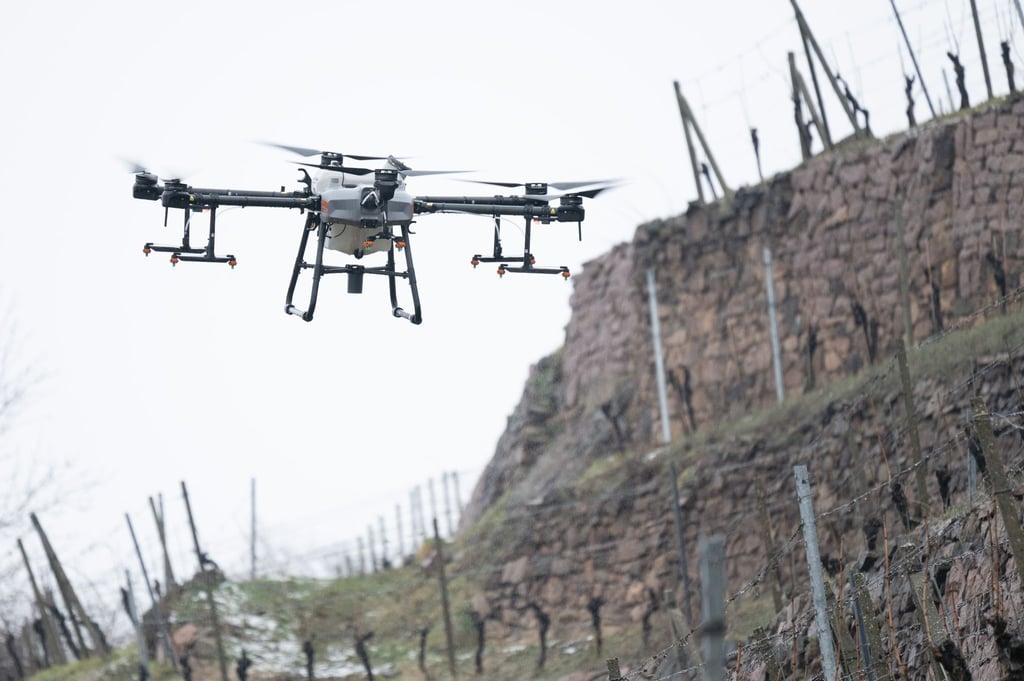 Ein Agrarcopter fliegt auf dem Weingut Schloss Wackerbarth über einen Weinberg.
