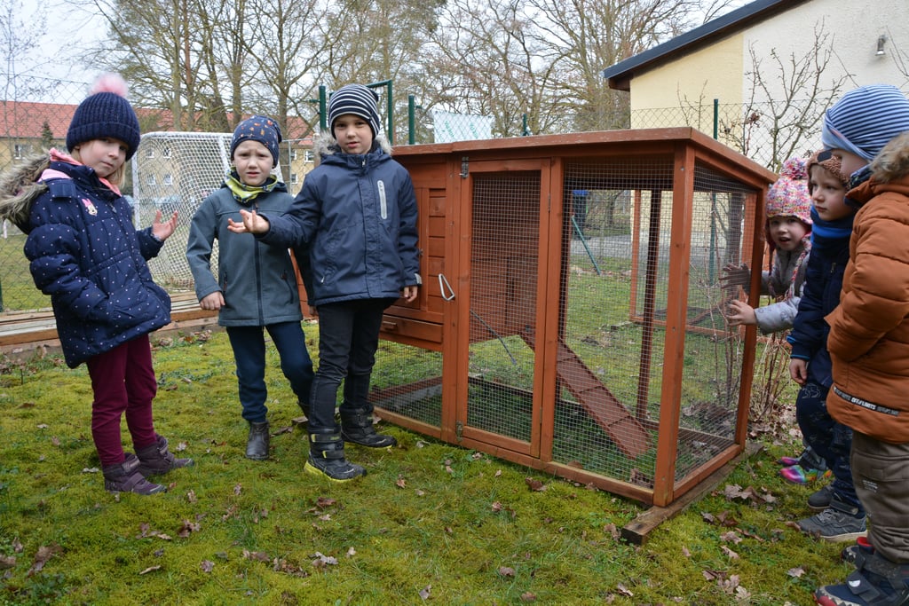 Noch ohne Tiere: Die Kinder aus dem Flessauer Kindergarten stehen vor leeren Hühnerhäusern. Diese wurden über Sponsorengelder finanziert.