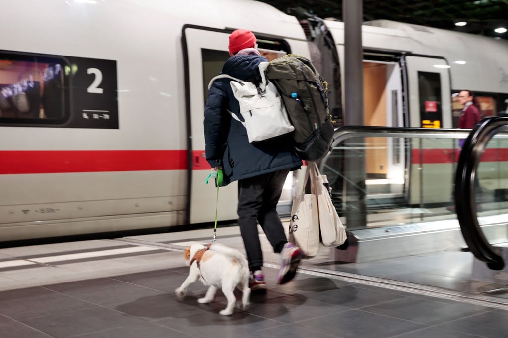 Kunden der Deutschen Bahn können Fahrkarten für Hunde ab sofort auch als Online-Tickets kaufen, nicht mehr nur auf Papier.