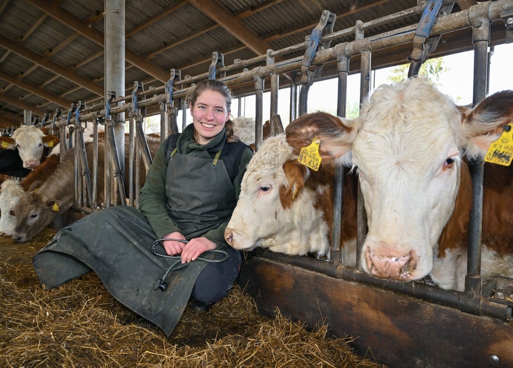 Zu dem Beruf gehört auch viel Handwerk. „Die praktischen Elemente der Arbeit am Tier kommen im Studium aber viel zu kurz“, kritisiert Tierärztin Lisanne Tesch.