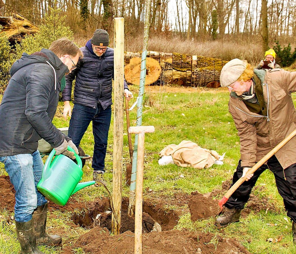 Ralf Engelkamp (von links), Wolfgang Aldag und Rainer Kranz beim Pflanzen der Pendeleiche im Kreveser Landschaftspark.