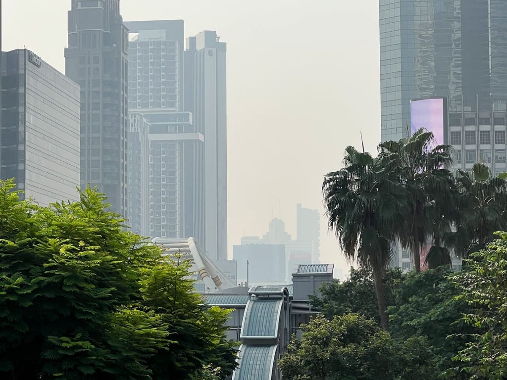 In Bangkok und anderen Teilen Thailands herrschen derzeit hohe Feinstaubwerte. Die Behörden raten den Menschen dringend, sich mit Masken vor der gesundheitsschädlichen Luft zu schützen.