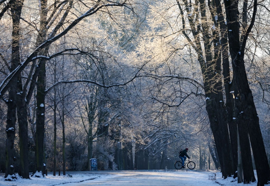 Ein Radfahrer fährt an einem kalten Wintermorgen durch einen Park.