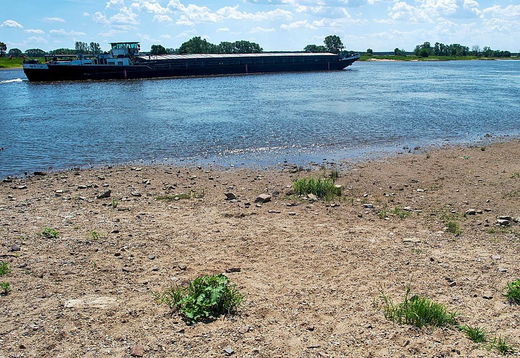 Größere Schiffe können seit Jahren nur noch an wenigen Tagen im Jahr auf der Elbe fahren.