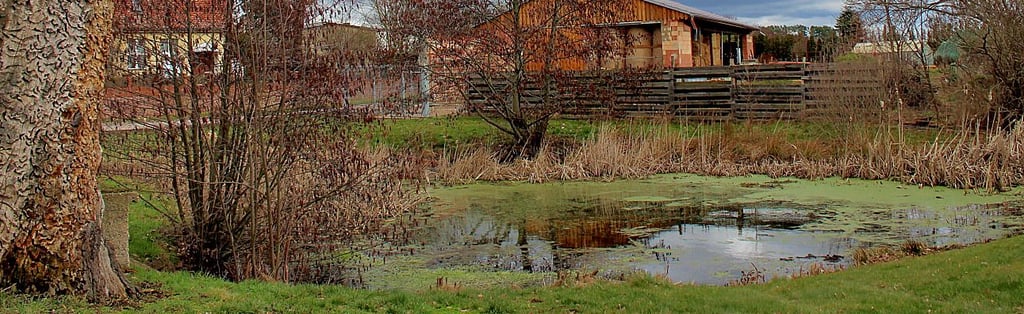 Der kleine Teich an der Steckbyer Heimatstube wird zum Tümpel im Sommer.