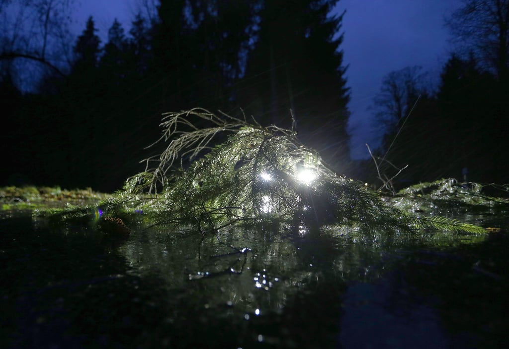 In der Nacht von Freitag auf Samstag drohen Sturmböen in Sachsen-Anhalt: Äste und Gegenstände könnten herunterstürzen.