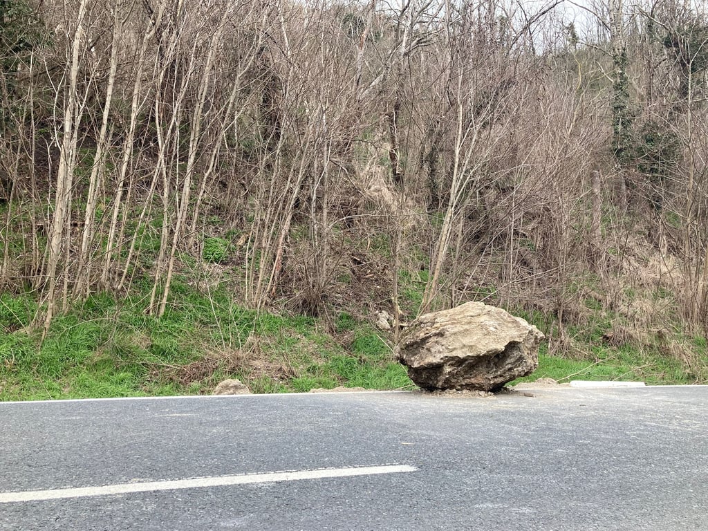 Wegen eines herbagefallenen Felsen wurd e am Freitag die Bundesstraße 250 zwischen dem Abzweig nach Reinsdorf und dem Querfurter Ortsteil Zingst voll gesperrt.
