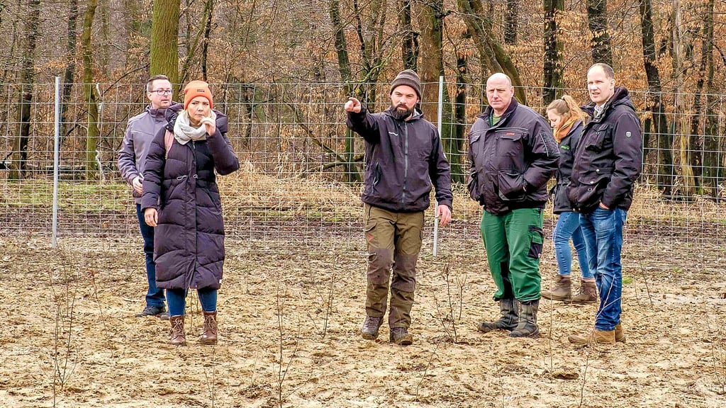 Das soll mal ein Wald werden: Martin Schwärzel (Mitte) zeigt die Pflanzungen, die im Februar erfolgten.