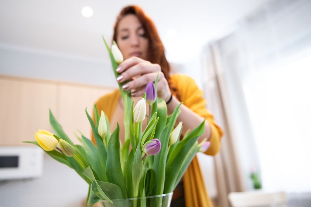 Wenn Tulpen auf dem Heimweg vom Einkauf schlapp machen, muss man sie einfach in Wasser stellen.