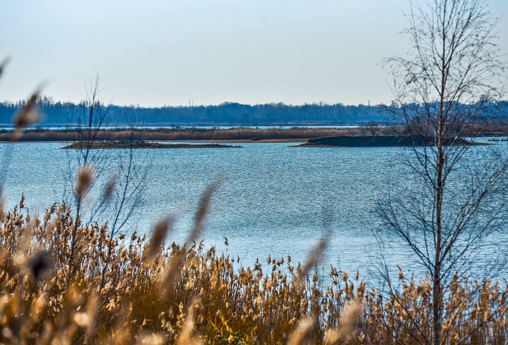 Auf den ersten Blick mögen sich die beiden Fotos zu diesem Artikel sehr ähneln. Für Vögel macht es aber einen Riesenunterschied, ob es in der ehemaligen Kiesgrube am Wallendorfer See (oberes Foto) Flachwasser, Inseln und schlammige Flächen gibt ...