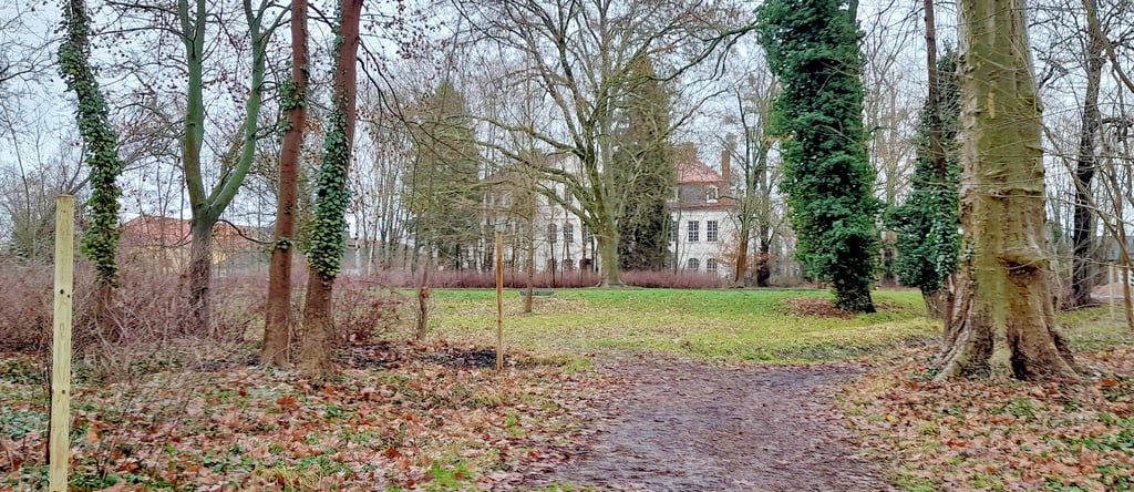 Der Schloßpark in Königsborn soll auf Initiative des Reitvereins Königsborn neu belebt werden. Ein Naturlehrpfad, Wege, Bänke und die Renaturierung des Schloßteiches sind unter anderem geplant.