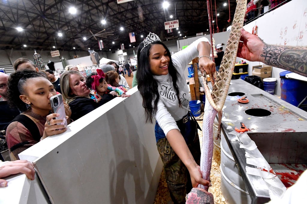 Trinity McGee, die Gewinnerin des Miss Snake Charmer-Wettbewerbs 2023, häutet eine Klapperschlange beim 65. World's Largest Rattlesnake Roundup in den USA.