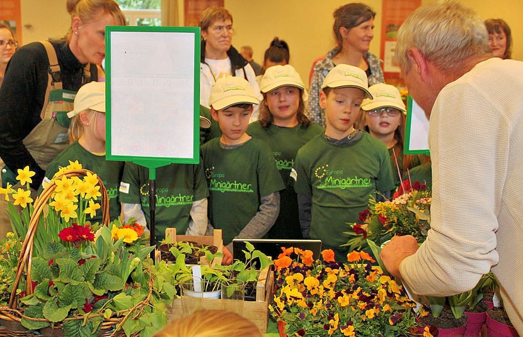 Am Stand von Gärtnermeister Winfried Krause blühte der Frühling schon kräftig auf. Sein Gewächshaus birgt so manche blumige Farbenpracht.