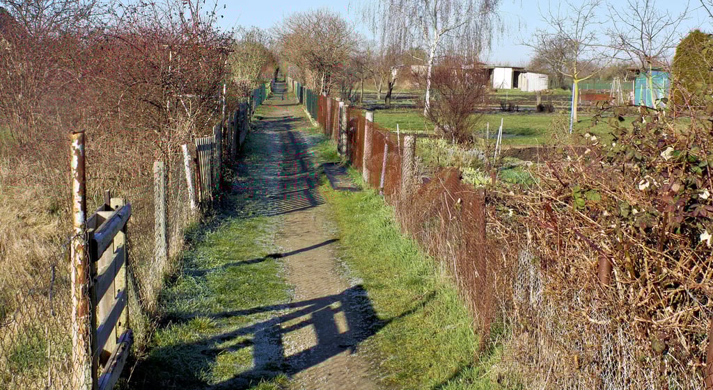 Blick hinein in die Eggersdorfer Gartenanlage. Dort stehen noch einige Parzellen frei. Interessierte können sich zunächst an die Ortsbürgermeisterin Rosemarie Ziem wenden. Diese kann mit weiteren Informationen zu den Gärten aufwarten.