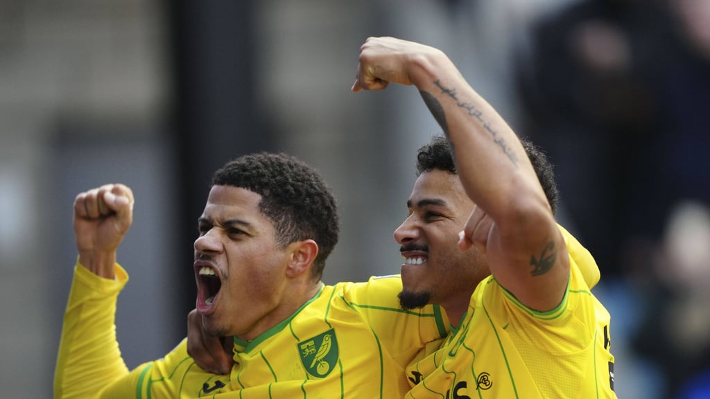 Gabriel Sara (l.) bejubelt ein Tor für Norwich City.