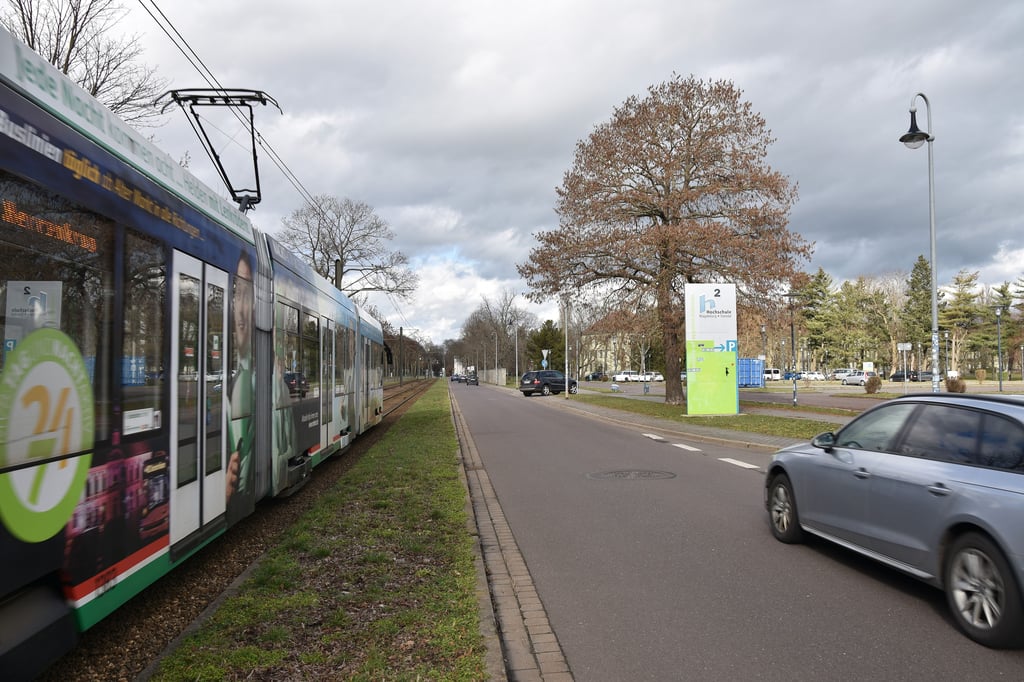 Im Bereich des Hochschulparkplatzes in Magdeburg könnte ein neuer Gleisübergang für kürzere Wege sorgen.