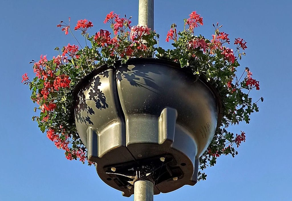 Blumenampel in Schermen: Auch in diesem Jahr werden wieder Paten für die Ampeln gesucht.