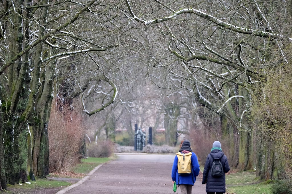 Leipzig: Schneereste haften an Bäumen in einem Park.