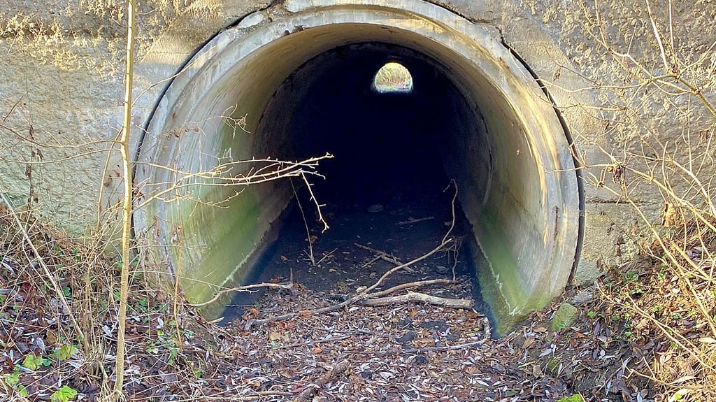 Der Grunau in Lützen fehlt es an Wasser. Stellenweise ist der Bach komplett versiegt. Woran das liegt, ist noch nicht geklärt.