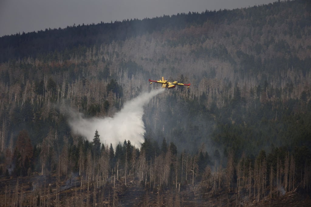 Ein Löschflugzeug bekämpft einen Waldbrand aus der Luft.