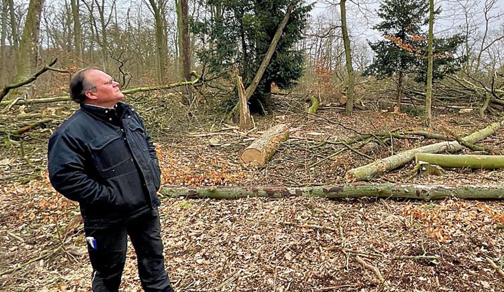 Zeppernicks Ortsbürgermeister ist entsetzt angesichts der umfassenden Fällung im Wendgräbener Wald.