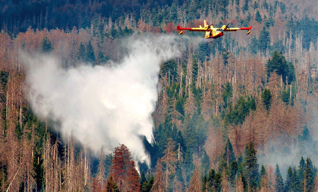 Der Landkreis Harz hatte extra aus Italien spezielle Löschflugzeuge (im Bild) für den Großbrand am Brocken angefordert und für deren Einsatz zahlen müssen. Jetzt soll die einmotorige Maschine einer polnischen Firma auf dem Flugplatz in Ballenstedt während der Saison stationiert werden.