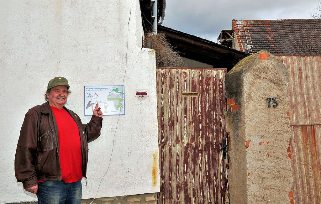 Seit Jahrzehnten befindet sich auf dem Grundstück von Hans-Hermann Jordan in Edersleben ein Storchennest. Dieses musste wegen einer anstehenden Giebelsanierung herunter genommen werden. Außerdem war die Unterlage, ein Wagenrad, gebrochen.