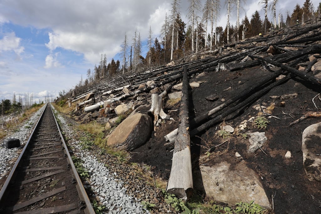 Im September 2022 hatte es am Brocken tagelang gebrannt.