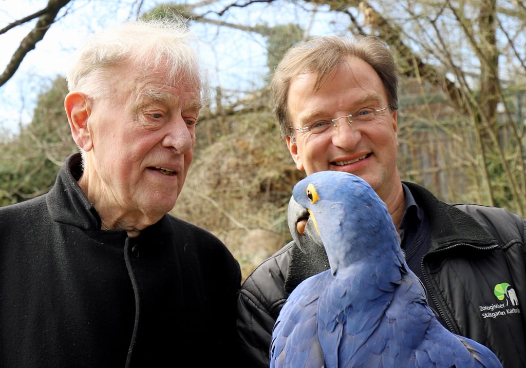 Der Theaterregisseur Claus Peymann (l) schaut dem Hyazinth-Ara Henry bei Nuss knacken zu.