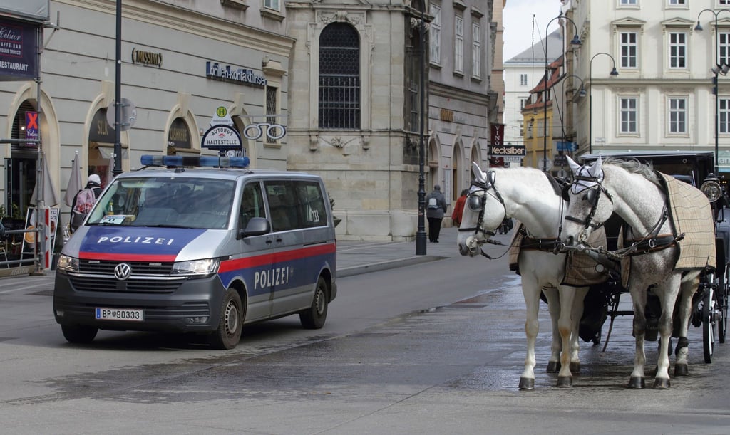 Ein Polizeiwagen neben einem Fiaker vor dem Wiener Stephansdom.
