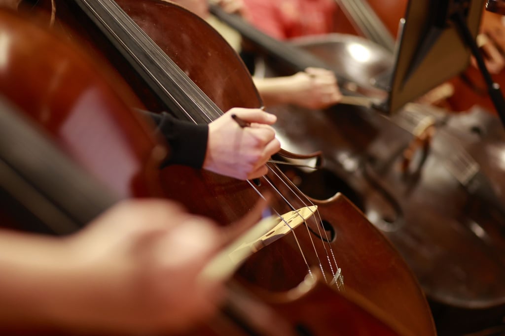 Musikerinnen und Musiker spielen Instrumente.