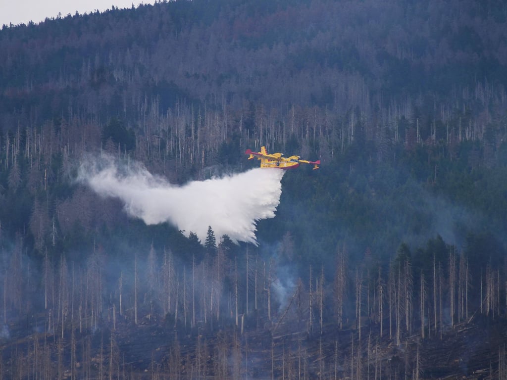 Der Landkreis Harz hatte extra aus Italien spezielle Löschflugzeuge (im Bild) für den Großbrand am Brocken angefordert und für deren Einsatz zahlen müssen. Jetzt soll die einmotorige Maschine einer polnischen Firma auf dem Flugplatz in Ballenstedt während der Saison stationiert werden.