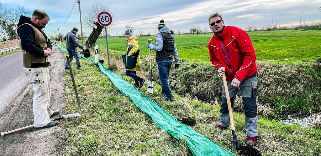 Zeddenicker bauten am Donnerstag einen Krötenzaun am Ortseingang auf.