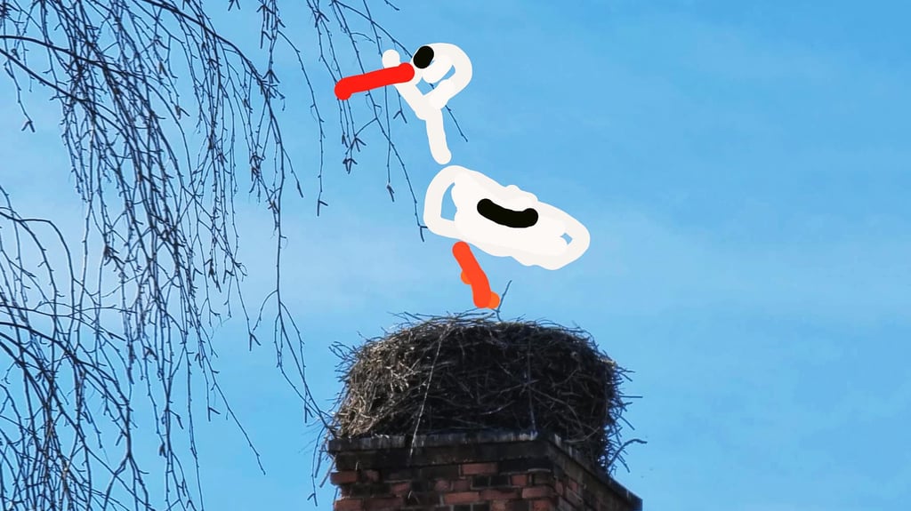 Nach zahlreichen vergeblichen Versuchen, den zurückgekehrten Storch aufs Foto zu bannen, konnte MZ-Fotograf Frank Gehrmann doch noch Erfolg vermelden.