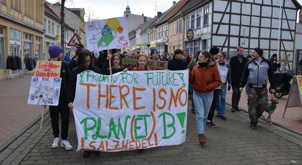 Am 3. März zogen Umweltaktivisten mit Fridays For Future durch Salzwedel. Unbemerkt mischten sich auch zwei Mitglieder der AfD darunter.
