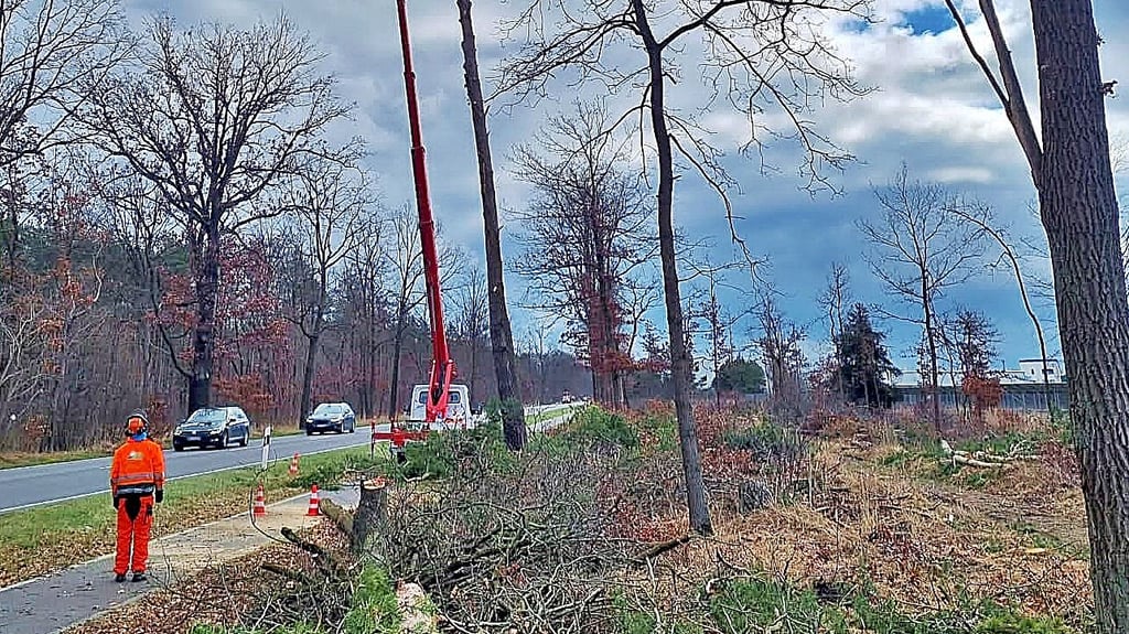 Die Baumarbeiten an der Bundesstraße 107 bei Oranienbaum sollen noch bis in den April andauern.