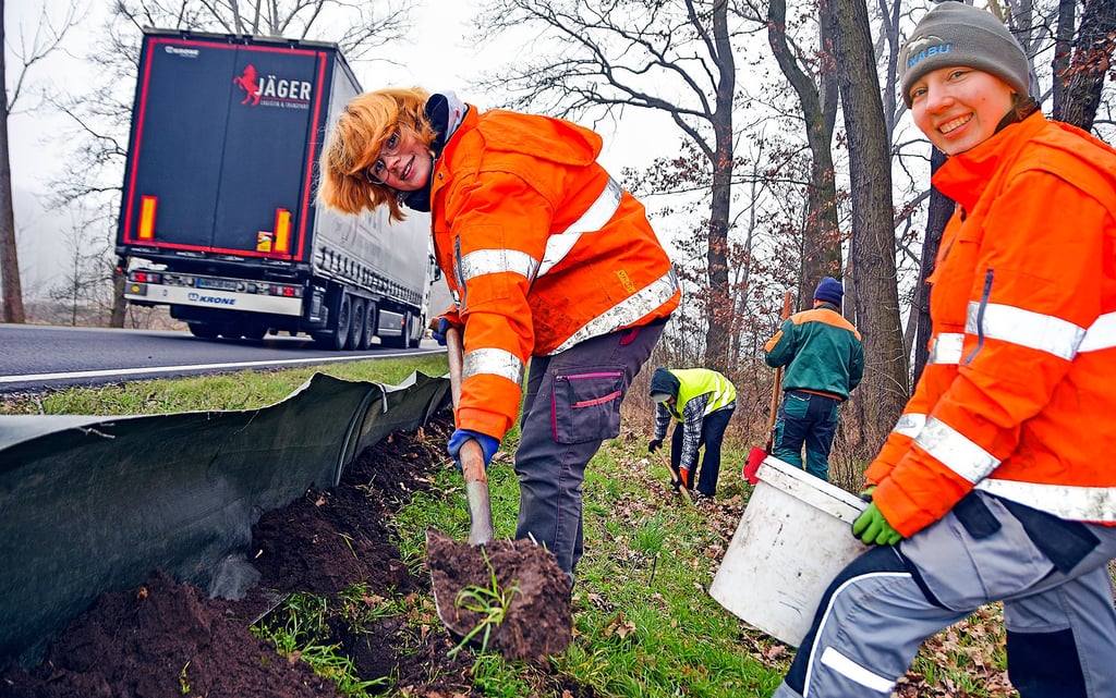 Judi Oppermann und Annika Purschke packen in ihrem Freiwilligen Ökologischen Jahr beim Aufbauen des Krötenschutzzaunes an der Bundesstraße 245 zwischen Haldensleben und Wolfshausen mit an.