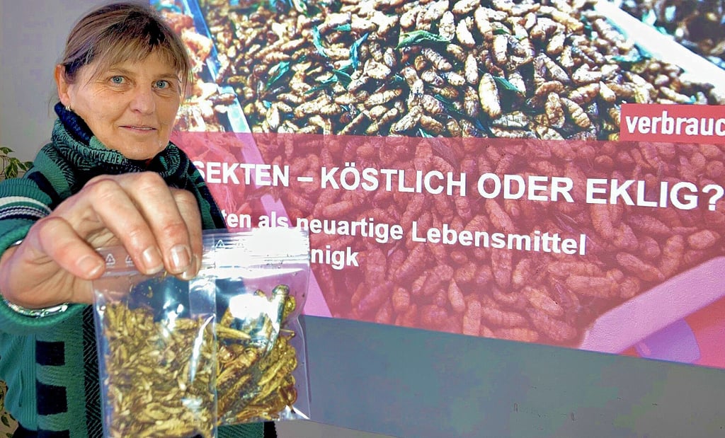 Constanze Bönigk von der Verbraucherzentrale klärt im Nachbarschaftstreff über Insekten als Nahrungsmittel auf.