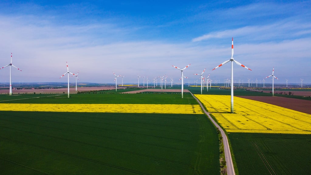 Windräder auf der Querfurter Platte
