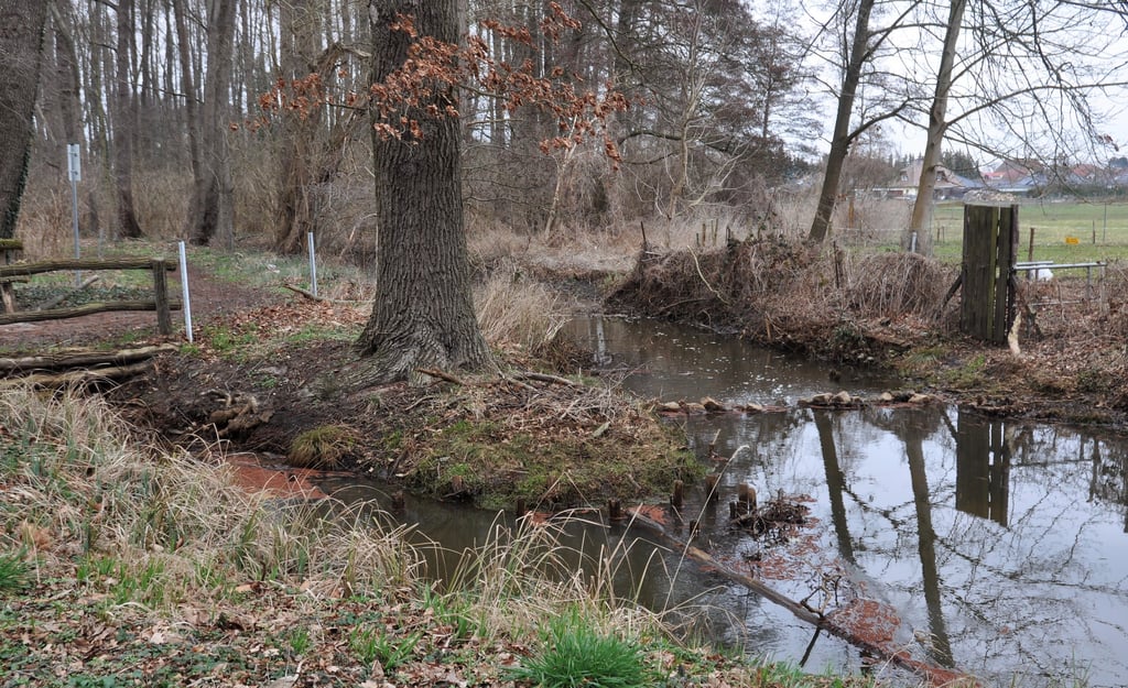 Momentan kommt genug Wasser über die Zuflüsse in den Zernausee. Im Sommer bei entsprechender Witterung kann das aber bereits ganz anders aussehen.